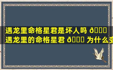 遇龙里命格星君是坏人吗 🐛 （遇龙里的命格星君 🍁 为什么变坏）